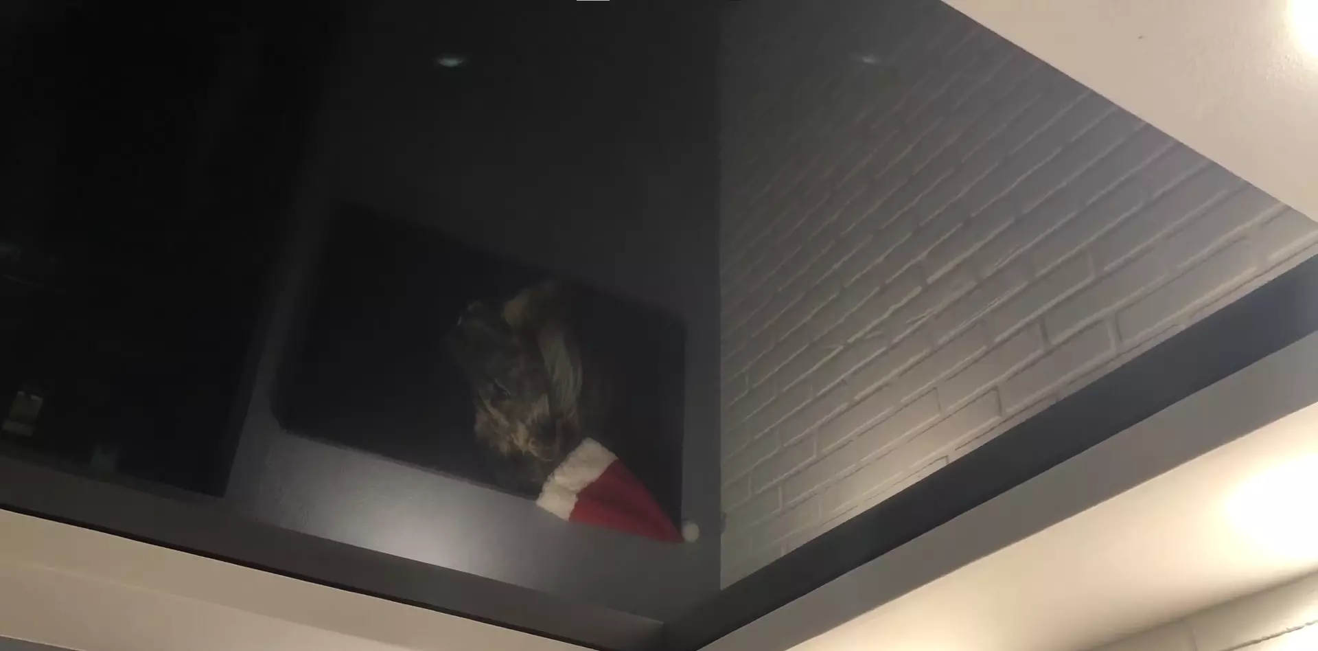 Кемерово, Молодёжный проспект, 3, фото 3